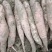 推荐红薯哈密红薯蜜薯基地直供一手货源量大从优全国发