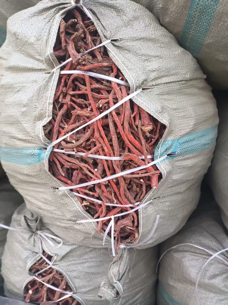丹参红丹参干货丹参安徽红丹参基地直供通货对接药厂药店电联