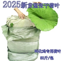 2025年整张新荷叶干荷叶叫化鸡专用荷叶莲叶荷叶茶50斤
