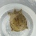 生态甲鱼正宗一手货源