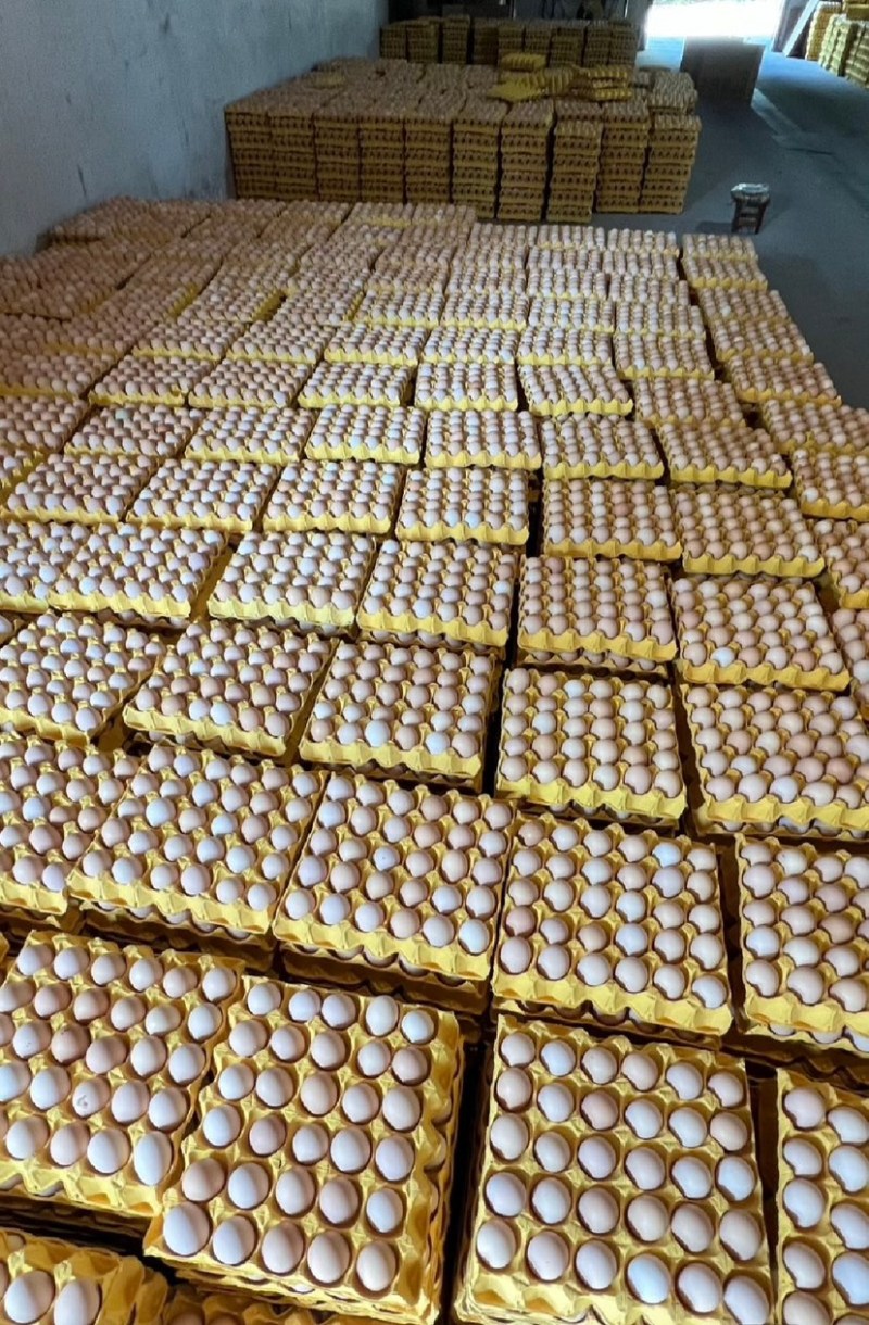 精品土鸡蛋