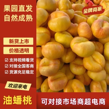 陕西黄金油蟠桃7-7大量成熟上市彩虹油蟠油蟠9产地直销