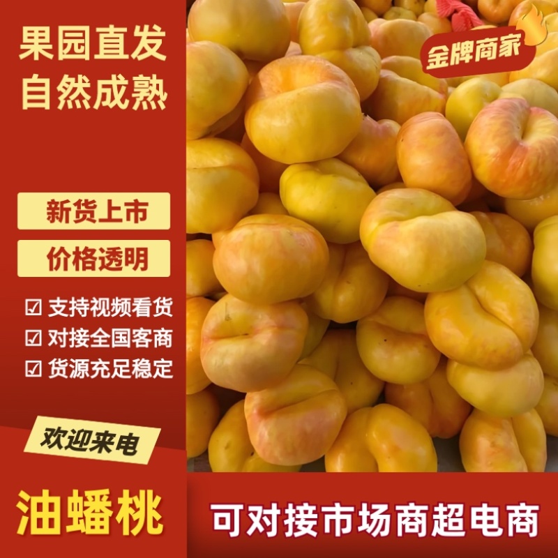 陕西黄金油蟠桃7-7大量成熟上市彩虹油蟠油蟠9产地直销