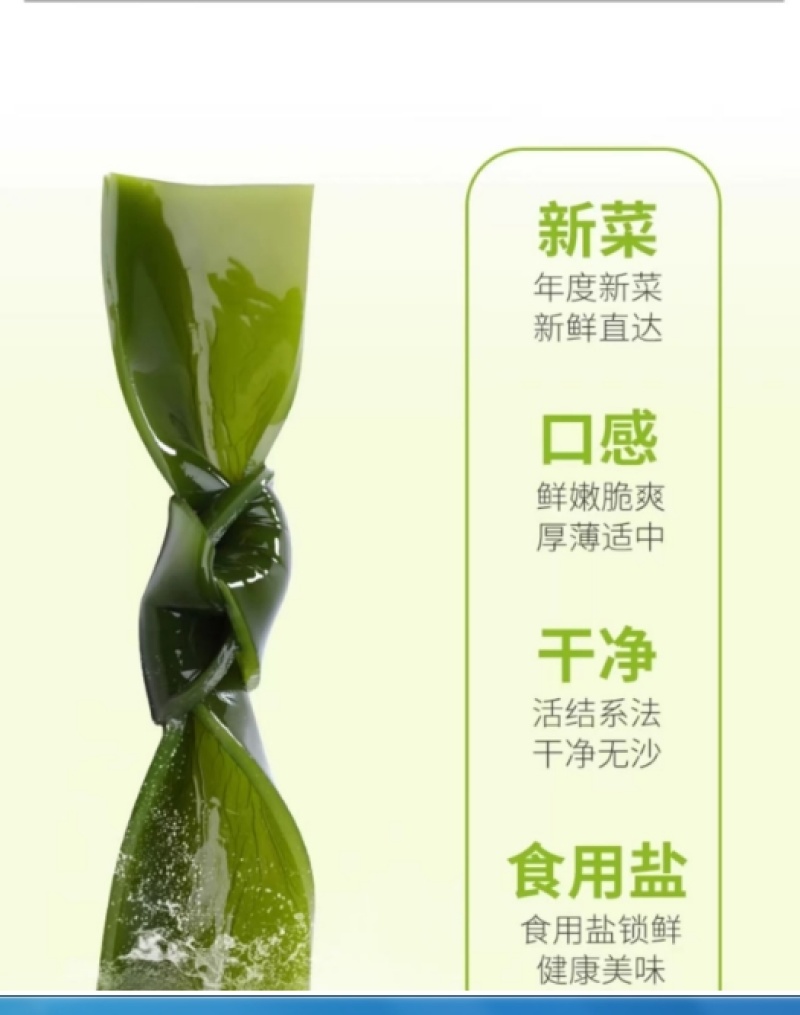 福建霞浦特厚盐渍海带结火锅串商用无沙新鲜到家海带