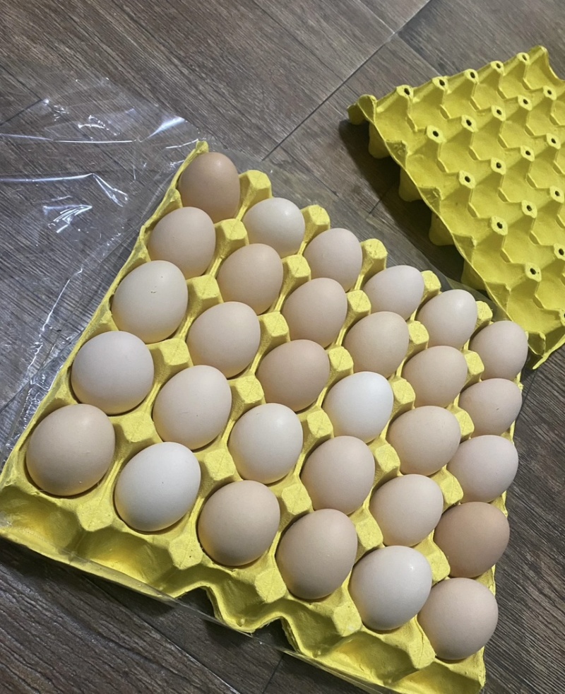正宗新鲜土鸡蛋