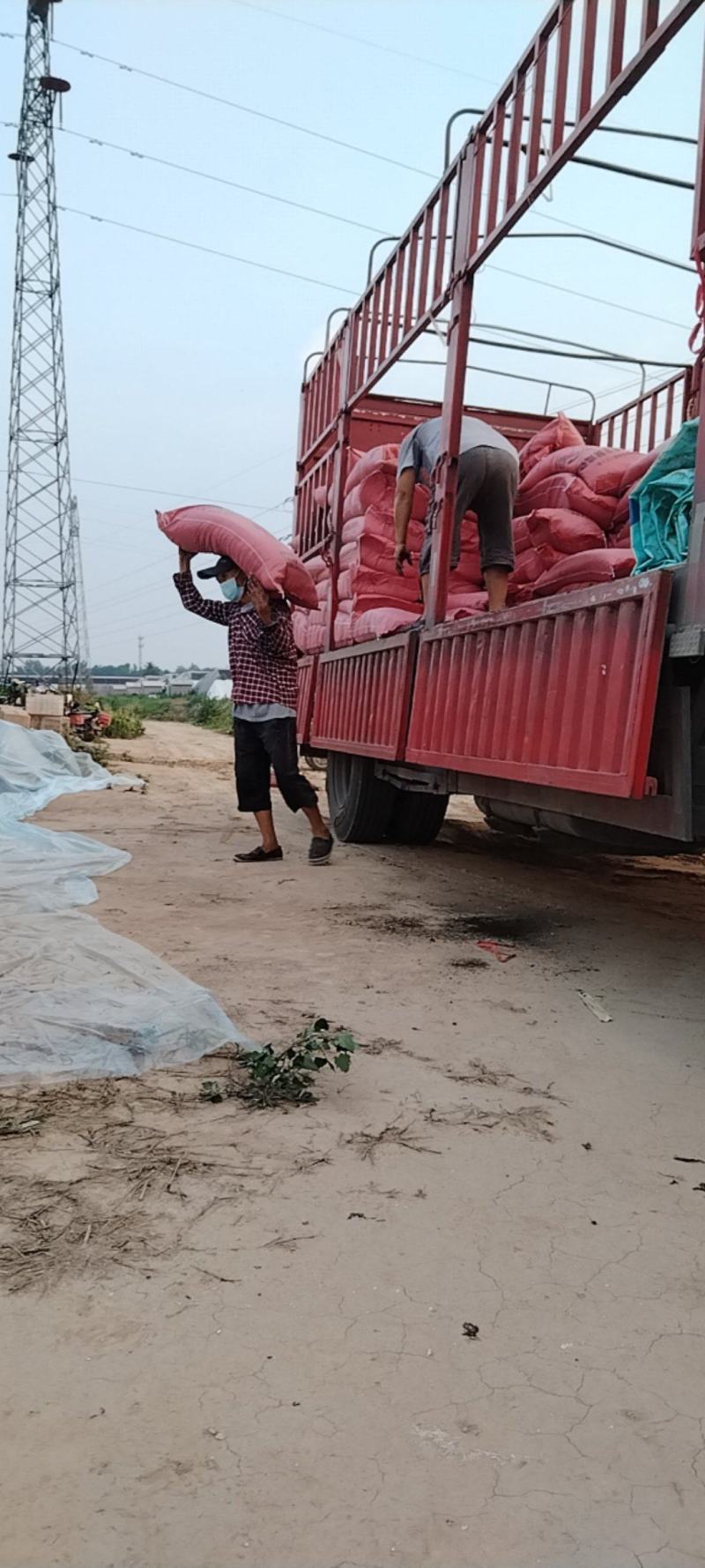 发酵鸡粪，质优价廉，全国发货，要的联系我