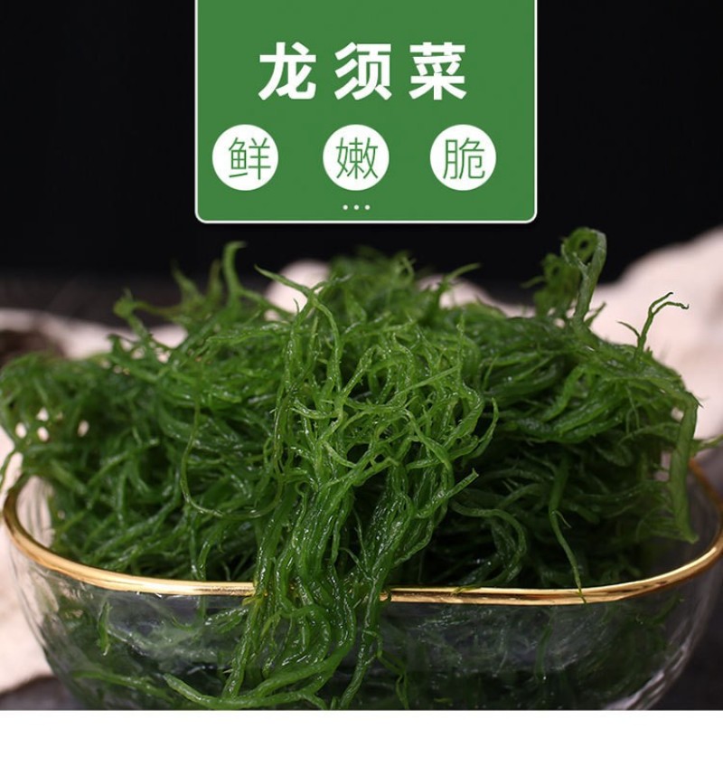 产地直发霞浦盐渍龙须菜凉拌菜海产海藻草海发菜鹿角菜商用
