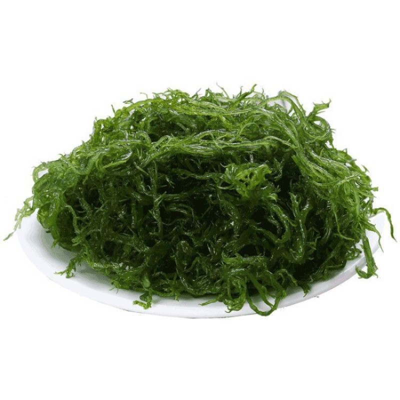 产地直发霞浦盐渍龙须菜凉拌菜海产海藻草海发菜鹿角菜商用