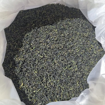 日照绿茶打头料精选