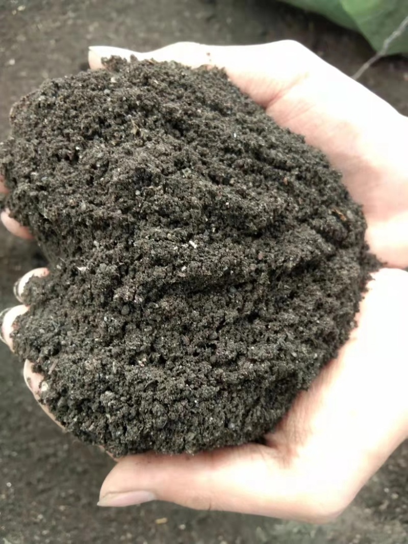发酵纯鸡粪肥饼纯干锯末蚯蚓土种花种菜专用营养土农家腐熟