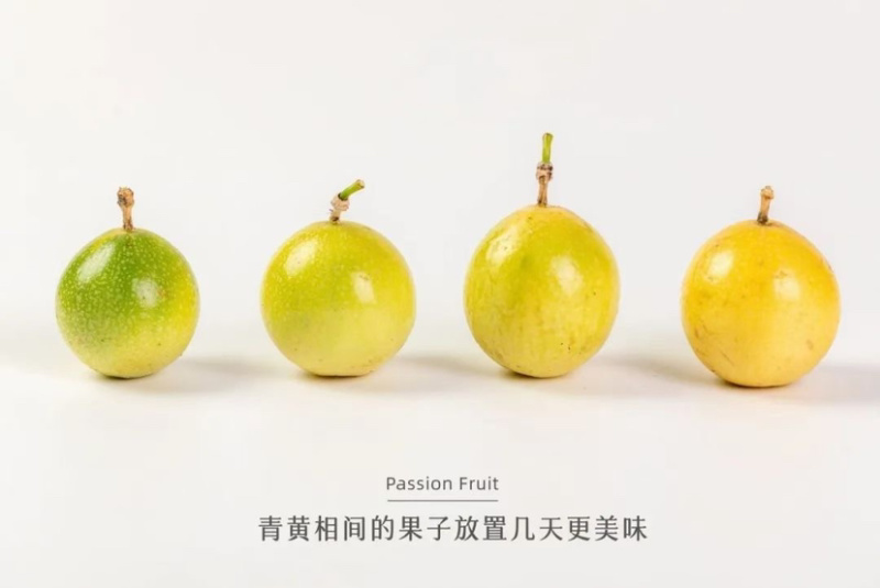 黄金百香果钦蜜9号