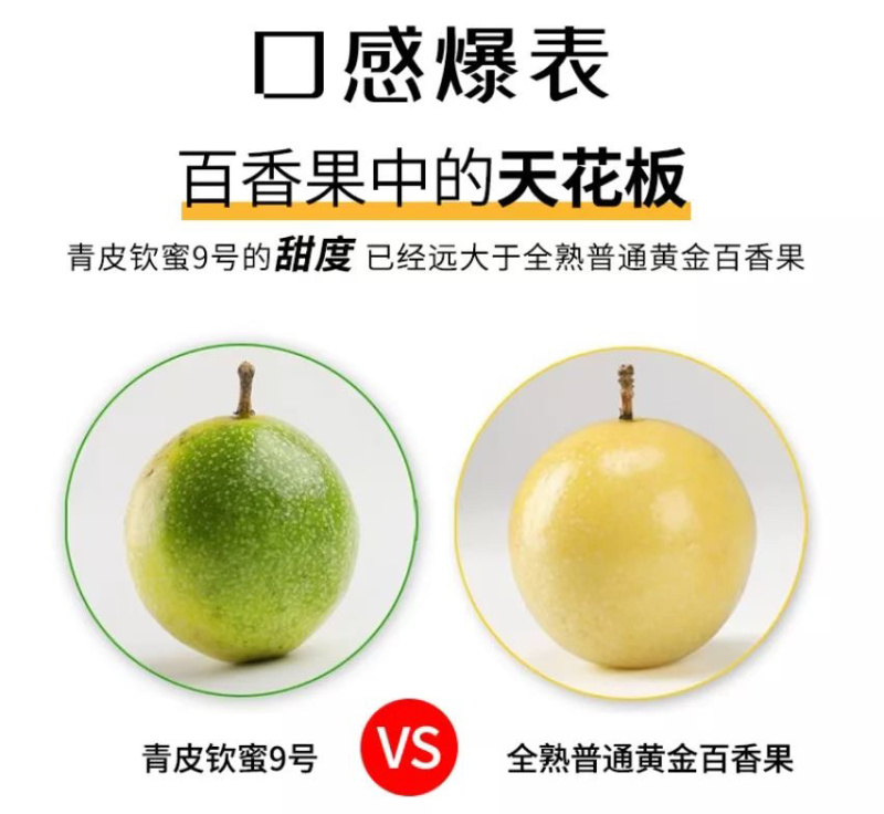 黄金百香果钦蜜9号