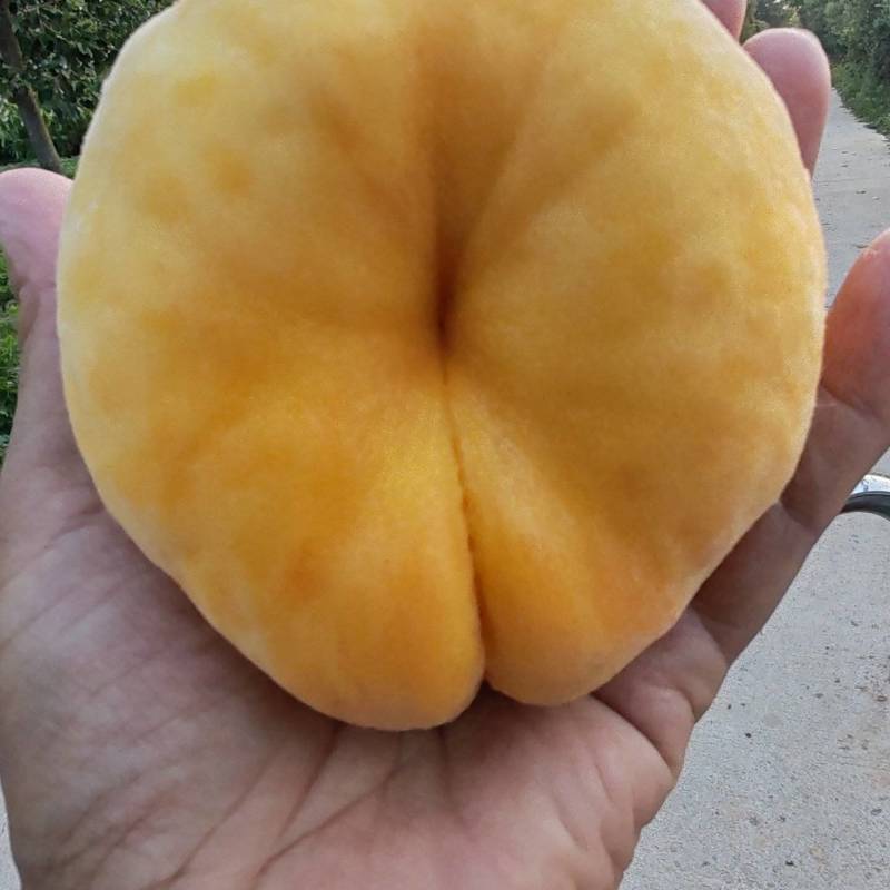 蟠桃上市，有需要的请联系