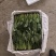 两排精品菠菜