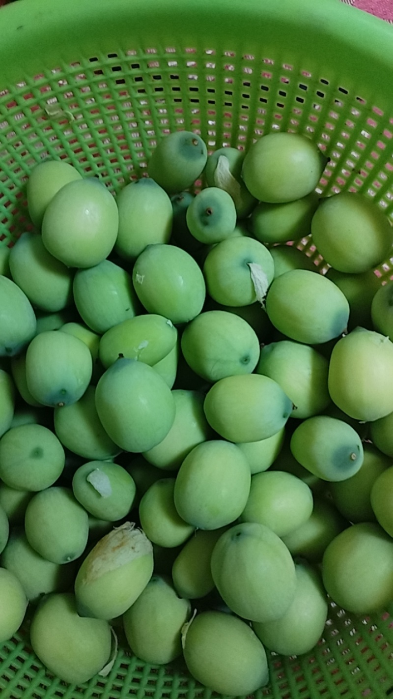 莲蓬莲子荷花，藕带蒲菜品种多，价格优。需要联系我。