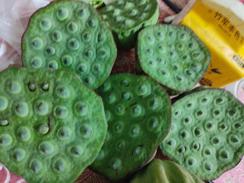 莲蓬莲子荷花，藕带蒲菜品种多，价格优。需要联系我。