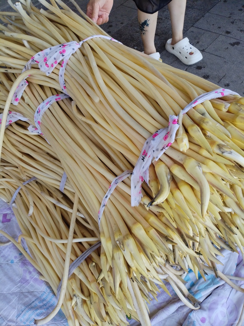莲蓬莲子荷花，藕带蒲菜品种多，价格优。需要联系我。