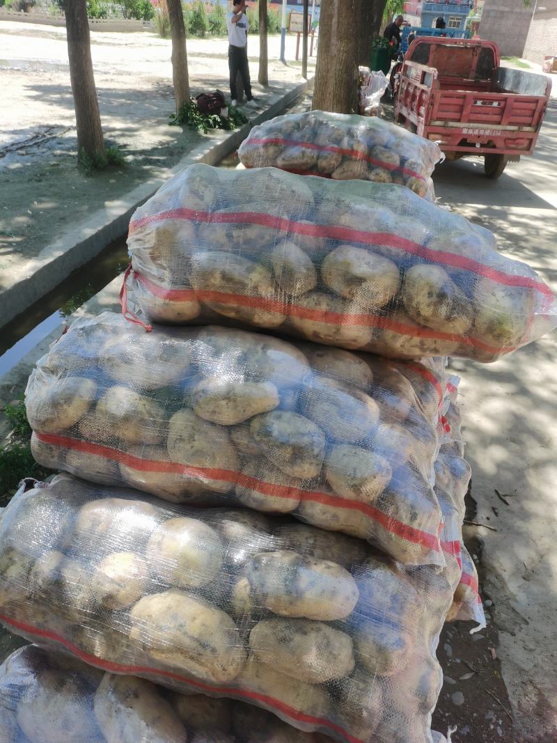 黄心，白心大量上市