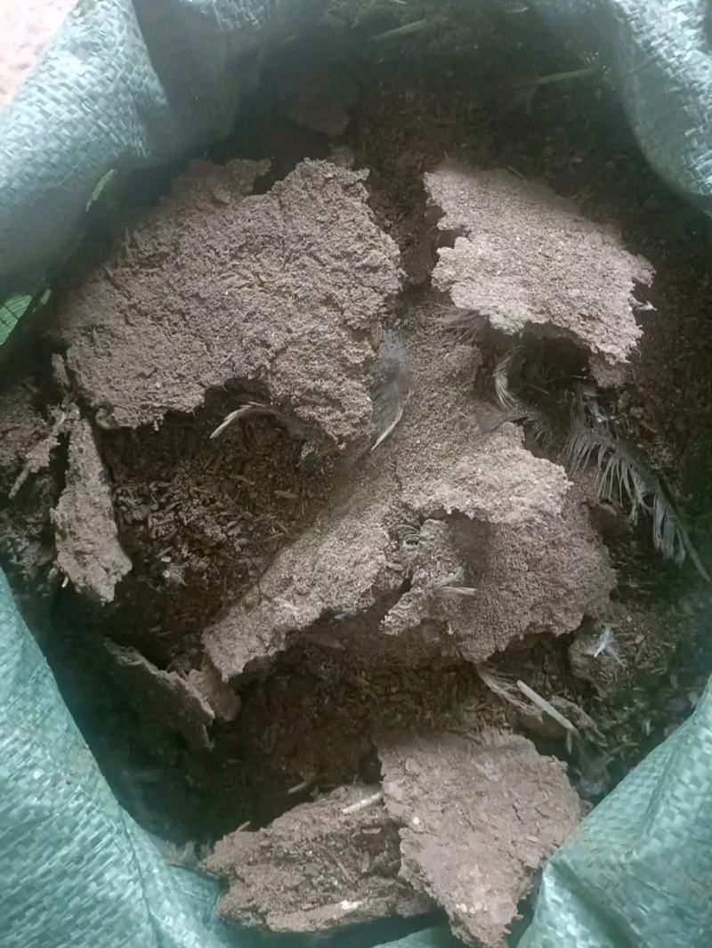 鸡粪大量上市，产地直发，品质保证，服务周到，诚信经营