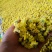 野葱花黄葱花