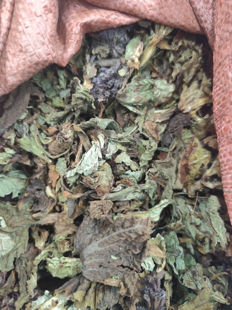 野生药材独一味干货