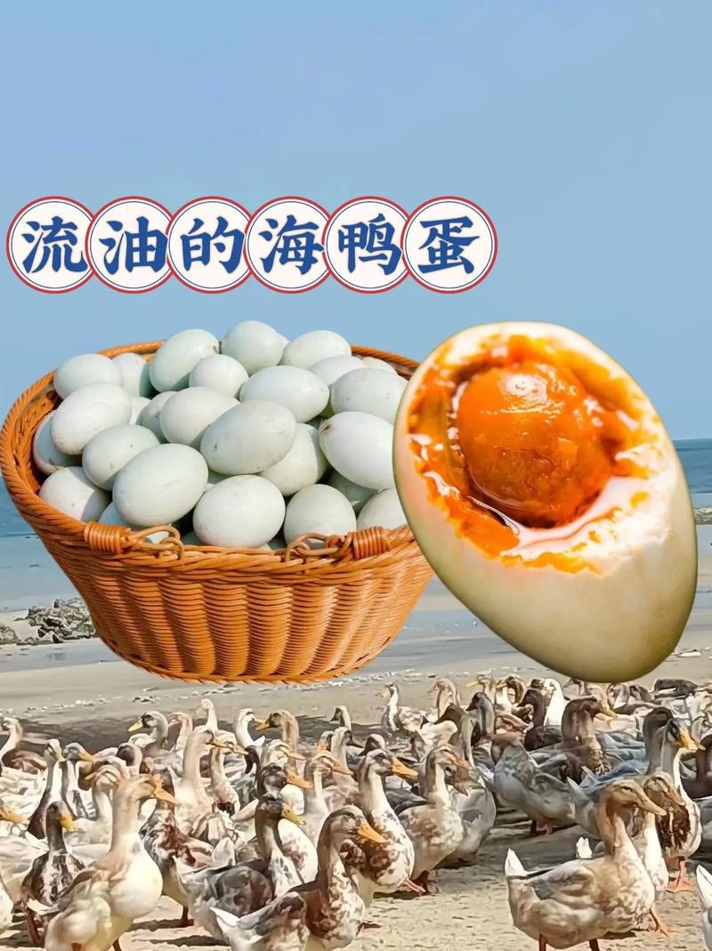 海鸭蛋蟹香流油，红泥腌制，厂家直销