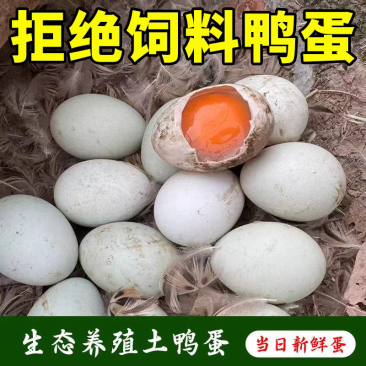 正宗新鲜生鸭蛋散养农家青壳土鸭蛋现捡现发