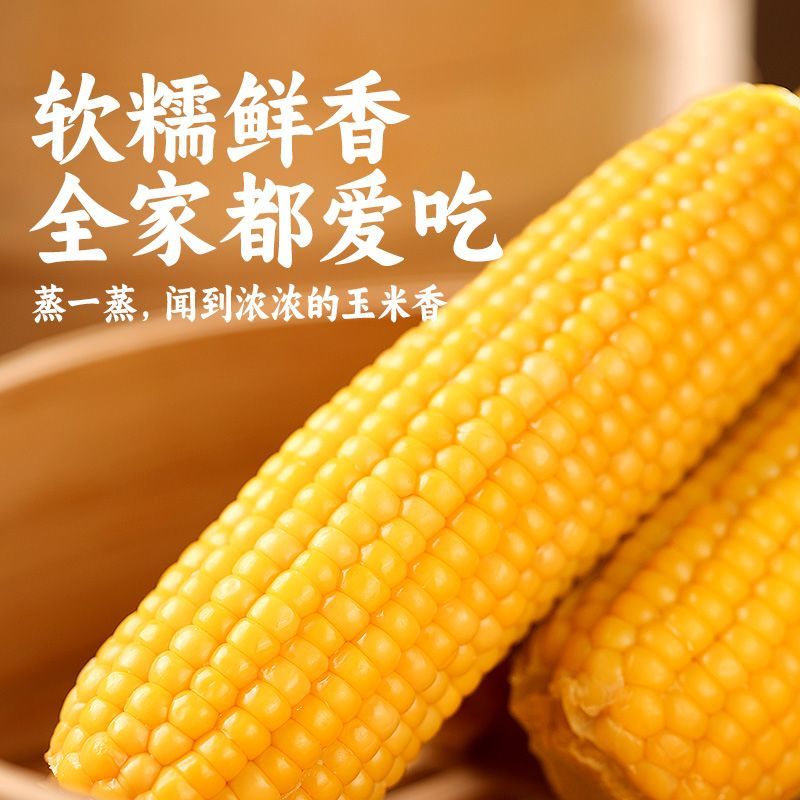 东北有机黄糯9号262非转基因代发贴牌工厂货真空包装