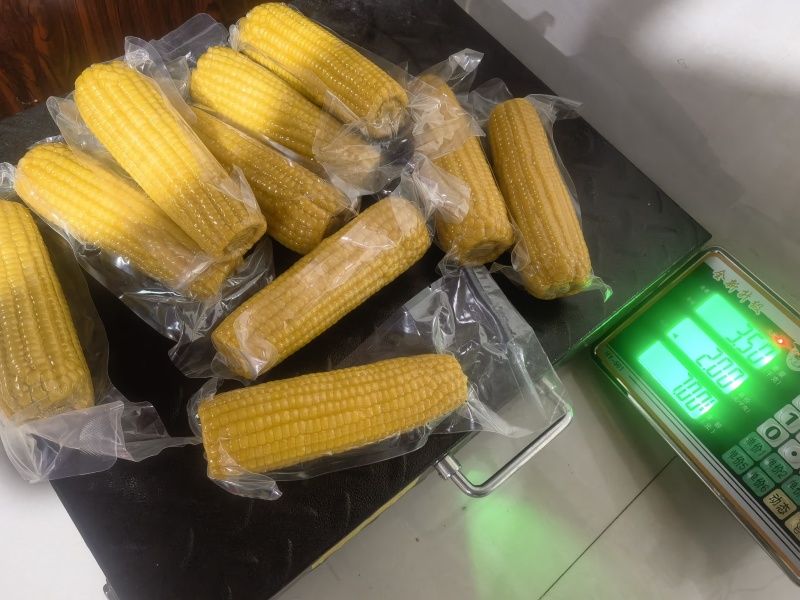 东北有机黄糯9号262非转基因代发贴牌工厂货真空包装