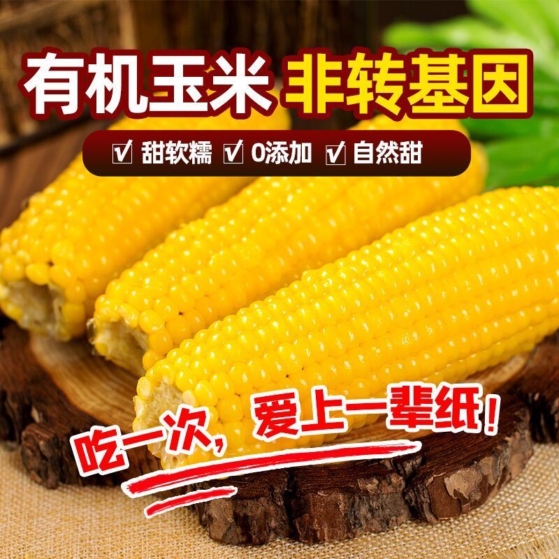 东北有机糯玉米黄糯9号真空包装支持代发支持贴牌软糯香甜
