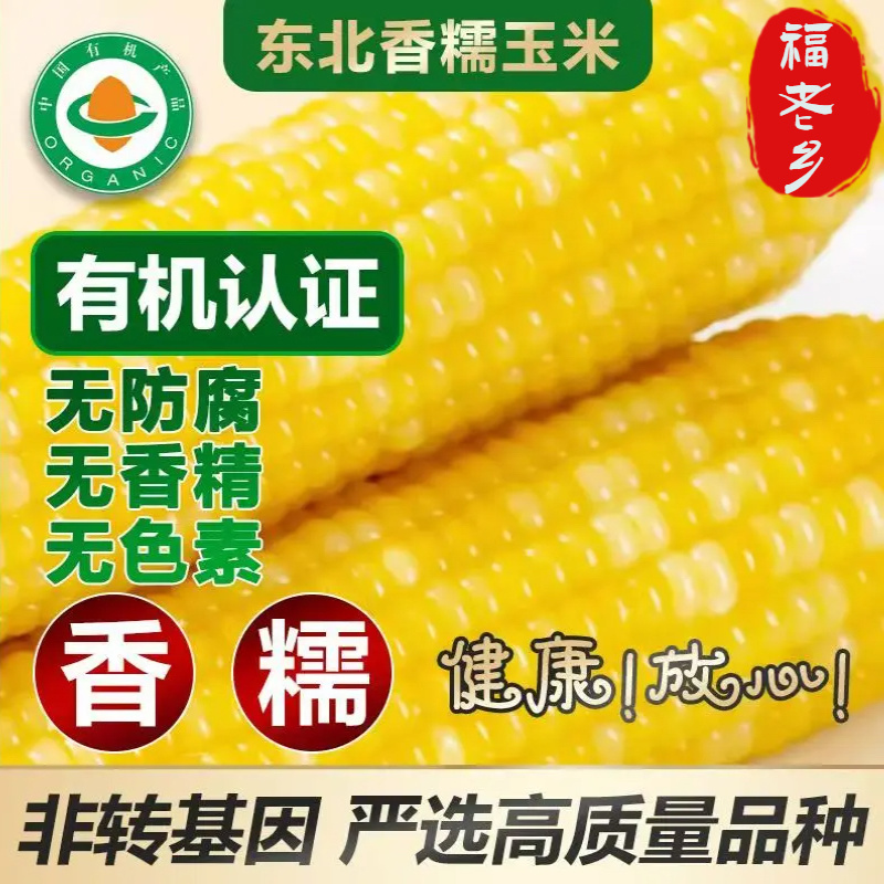东北有机糯玉米黄糯9号真空包装支持代发支持贴牌软糯香甜