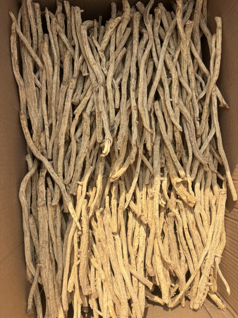 中药材防风品质优良一手货源医院药厂专供