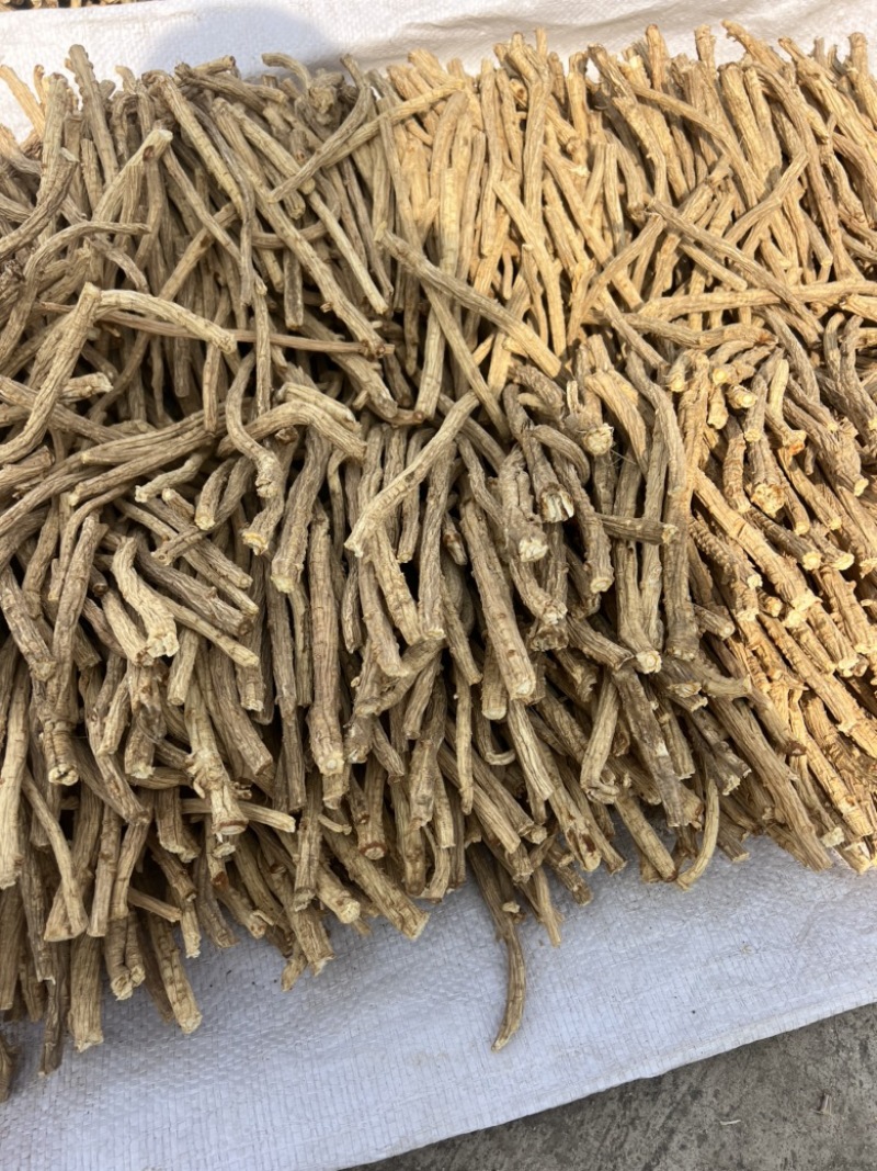 中药材防风品质优良一手货源医院药厂专供