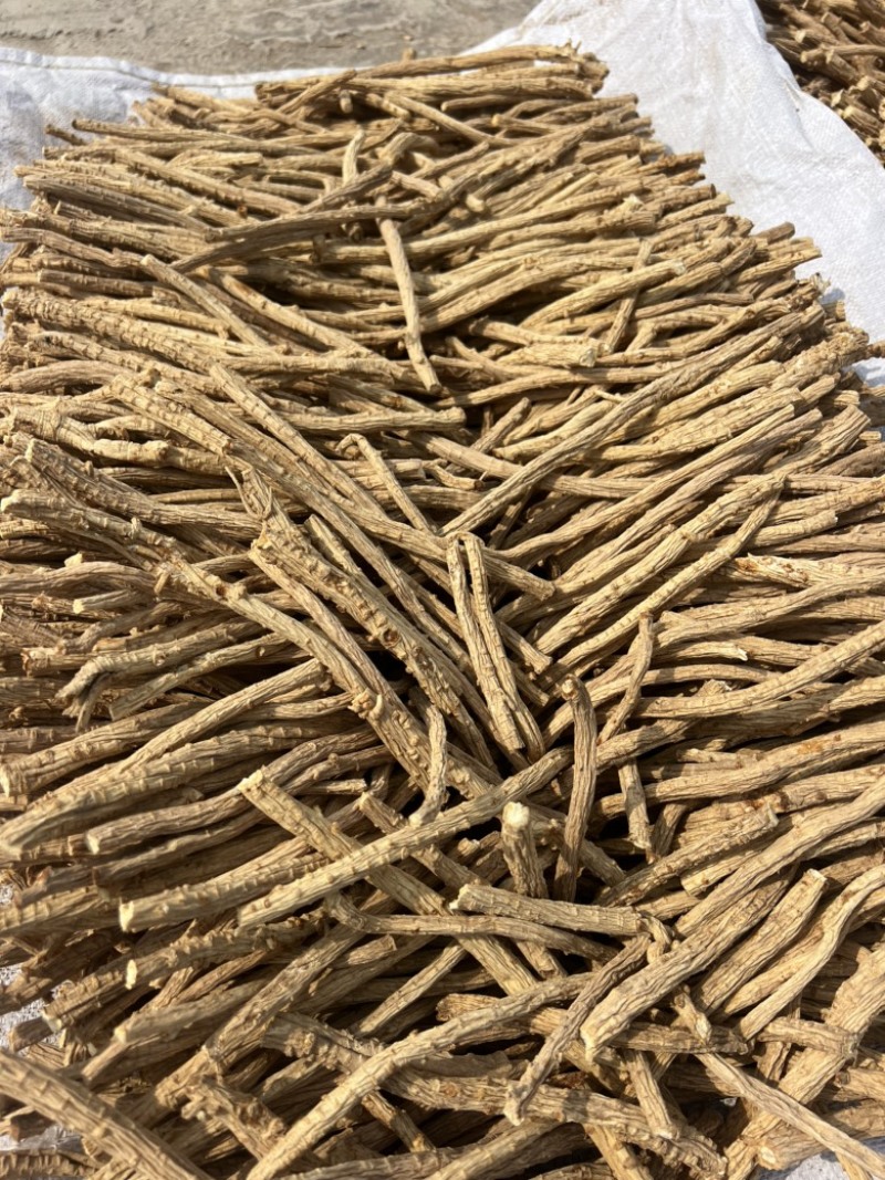 中药材防风品质优良一手货源医院药厂专供