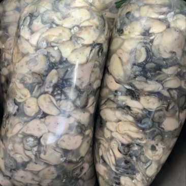 福建宁德霞浦海蛎蚝肉小中大都有