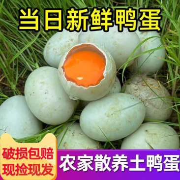 农家散养土鸭蛋生鲜鸭蛋现捡现发农家青壳蛋新鲜鸭蛋