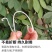 果穗钩西红柿葡萄番茄辣椒吊钩果穗钩塑料吊穗钩挂果钩吊蔓