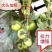 果穗钩西红柿葡萄番茄辣椒吊钩果穗钩塑料吊穗钩挂果钩吊蔓