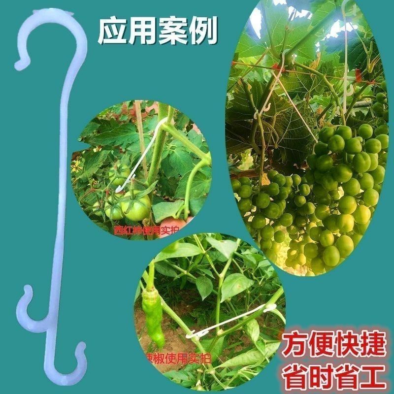 果穗钩西红柿葡萄番茄辣椒吊钩果穗钩塑料吊穗钩挂果钩吊蔓