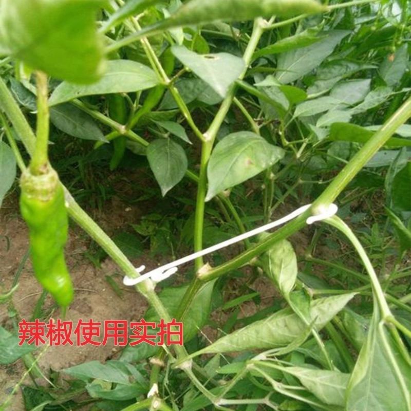 果穗钩西红柿葡萄番茄辣椒吊钩果穗钩塑料吊穗钩挂果钩吊蔓
