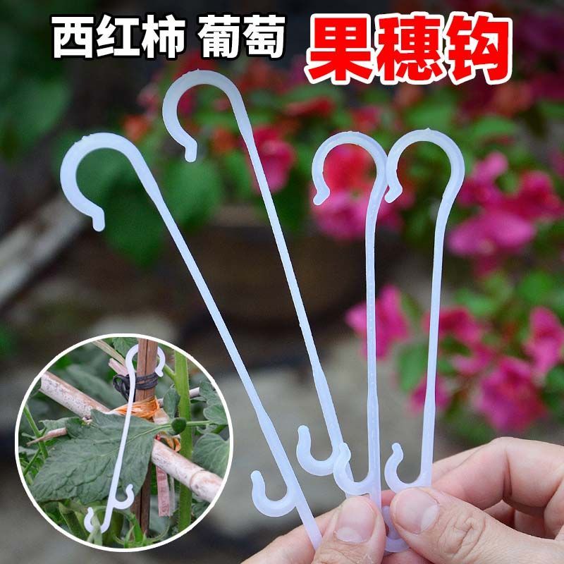 果穗钩西红柿葡萄番茄辣椒吊钩果穗钩塑料吊穗钩挂果钩吊蔓