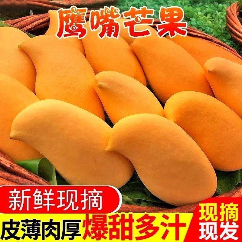 芒果云南鹰嘴芒大青芒苹果芒苔农金黄芒一件代发