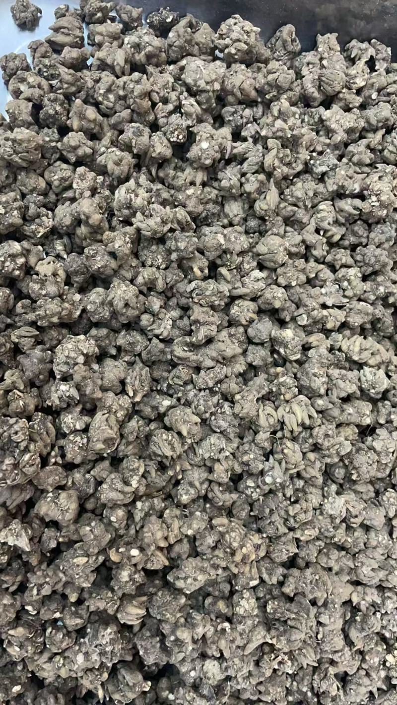 猫爪草二洗符合药典标准