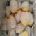 滕州精品土豆，荷兰，V7，沃土，黄皮黄肉，每斤加一毛包邮