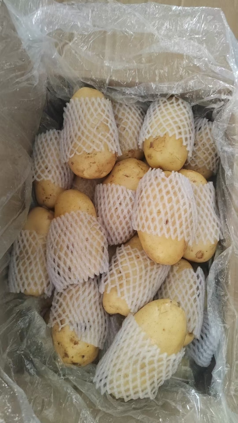 滕州精品土豆，荷兰，V7，沃土，黄皮黄肉，每斤加一毛包邮