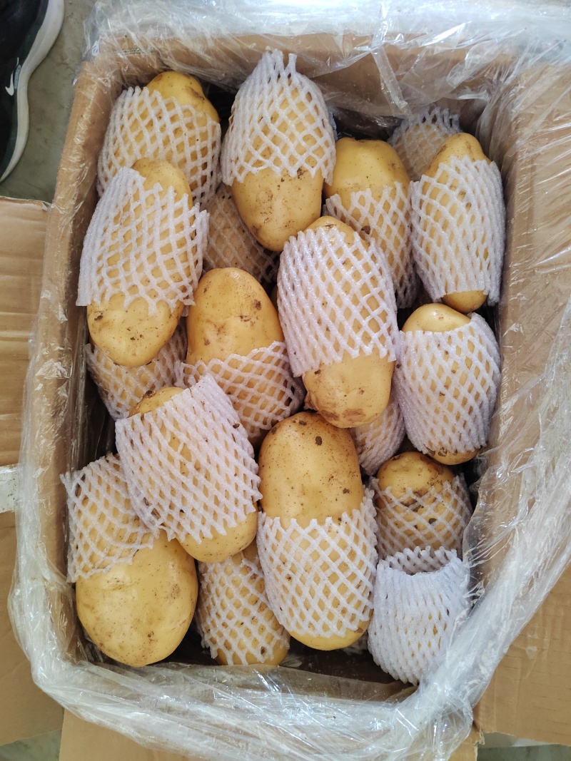 滕州精品土豆，荷兰，V7，沃土，黄皮黄肉，每斤加一毛包邮