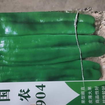 山东薄皮辣椒，农户直供