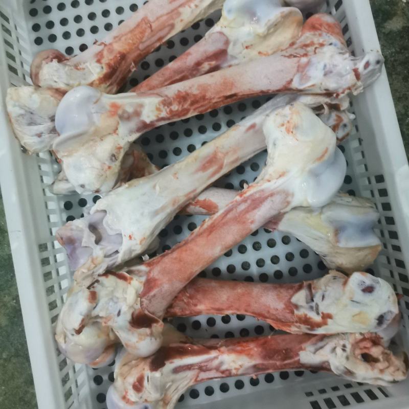 牛筒骨