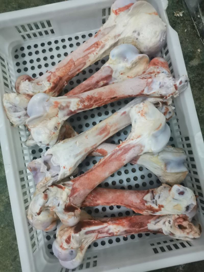 牛筒骨