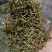 安龙金银花，花蕾，无硫，太阳哂干，颜色好，货量冲足